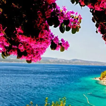 Apartman Jolena 1st Floor Mimice